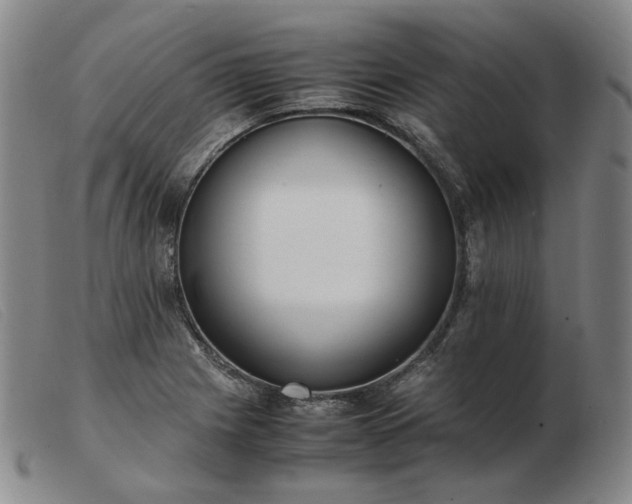 X0000103431225200809191653