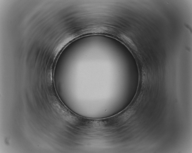 X0000103431226200809191653
