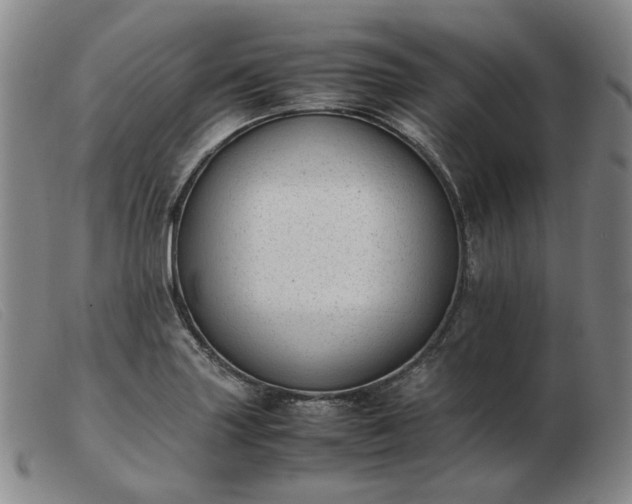 X0000103431227200809191653