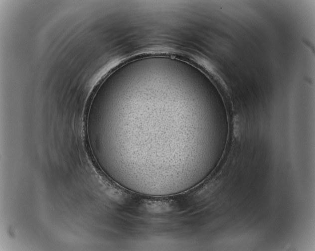X0000103431229200809191653