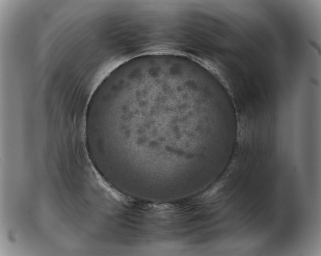X0000103431231200809191653