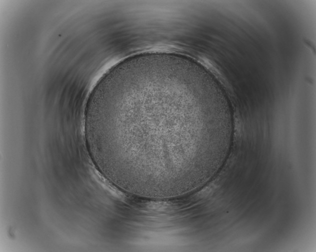 X0000103431232200809191653