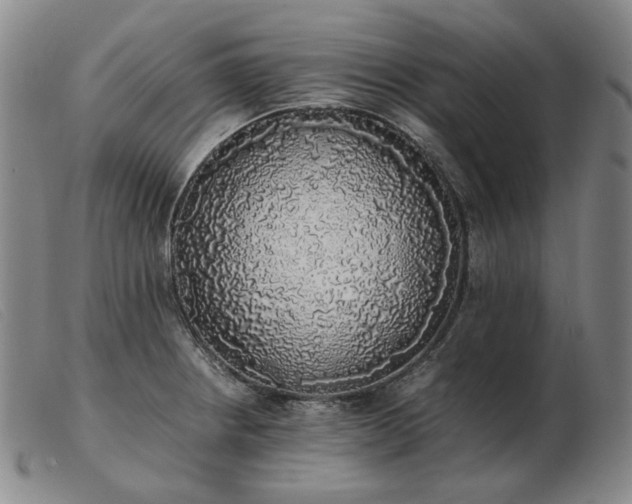 X0000103431234200809191653