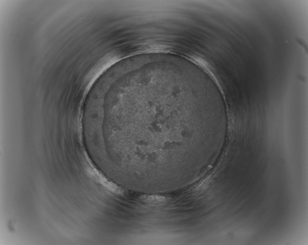 X0000103431235200809191653