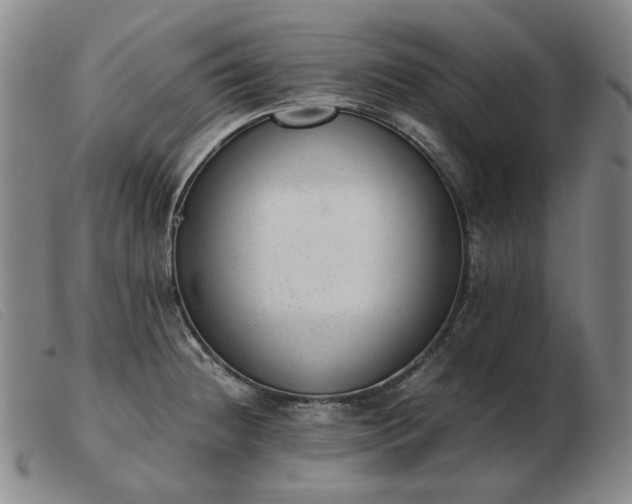 X0000103431236200809191653