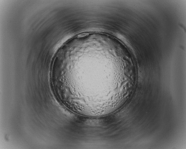 X0000103431237200809191653