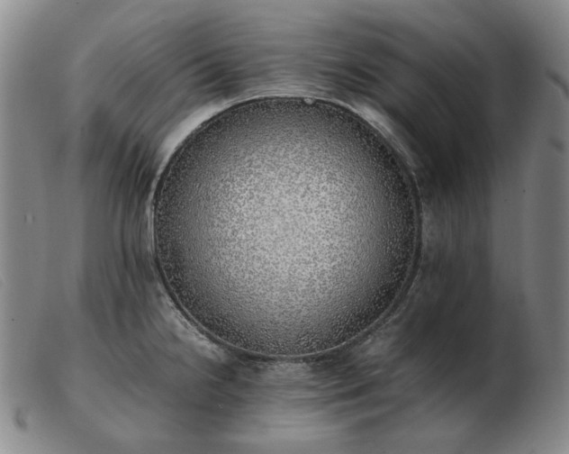 X0000103431238200809191653