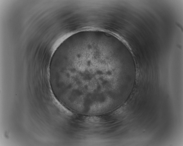 X0000103431239200809191653