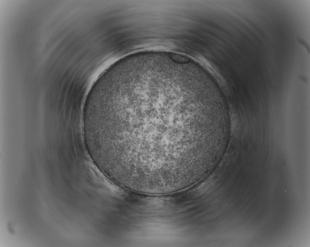 X0000103431240200809191653