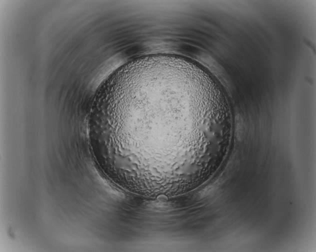 X0000103431241200809191653