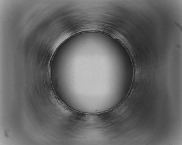 X0000103431242200809191653