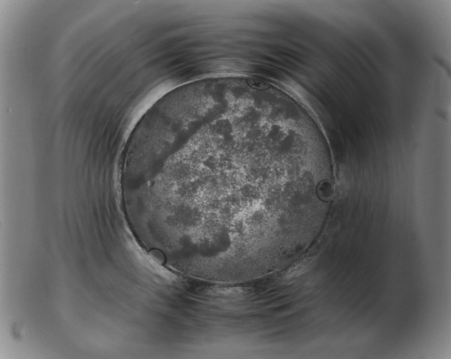 X0000103431243200809191653