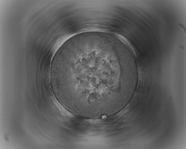 X0000103431244200809191653