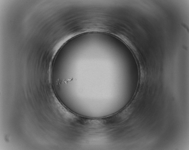 X0000103431246200809191653