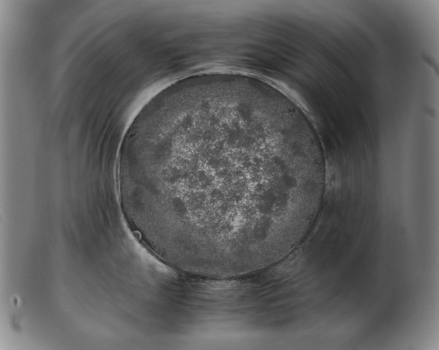 X0000103431247200809191653