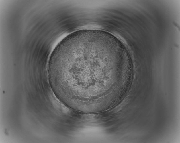 X0000103431248200809191653