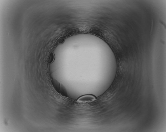 X0000103431249200809191652