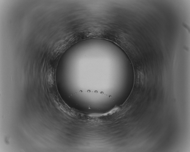X0000103431250200809191652