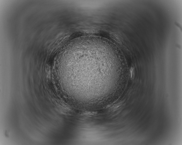 X0000103431251200809191652