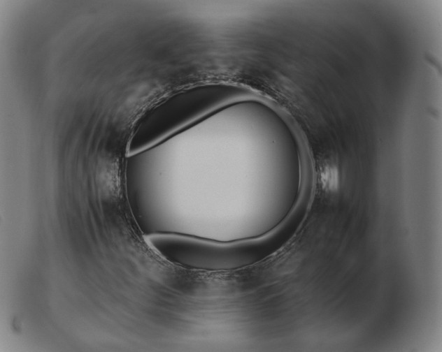 X0000103431252200809191652
