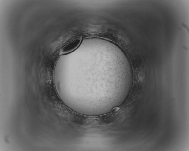X0000103431253200809191652
