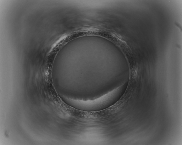 X0000103431254200809191652