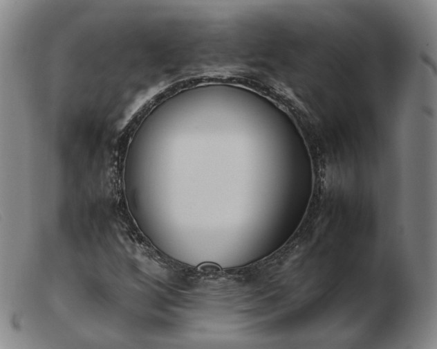X0000103431256200809191652