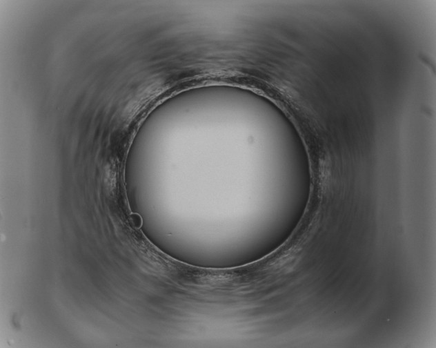 X0000103431257200809191652