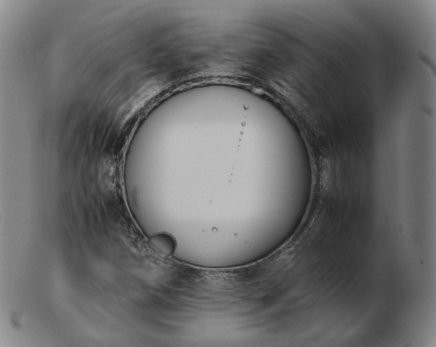 X0000103431258200809191652