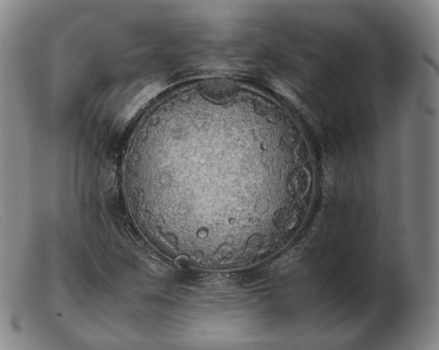 X0000103431259200809191652
