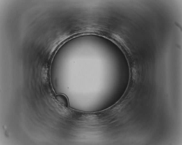 X0000103431260200809191652