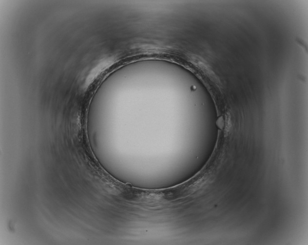 X0000103431261200809191652