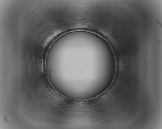 X0000103431262200809191652