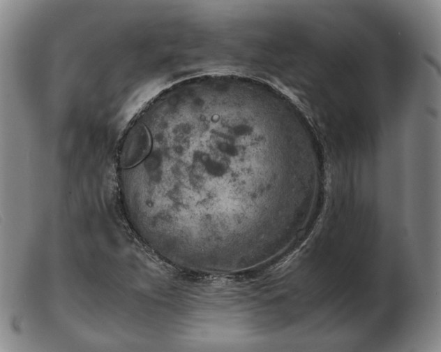 X0000103431263200809191652