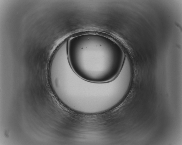 X0000103431264200809191652