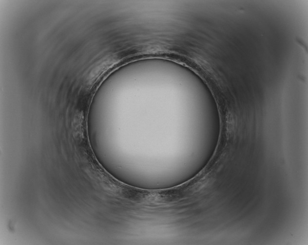 X0000103431265200809191652