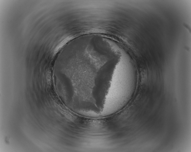 X0000103431266200809191652