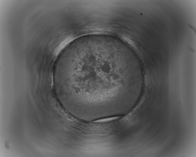 X0000103431267200809191652