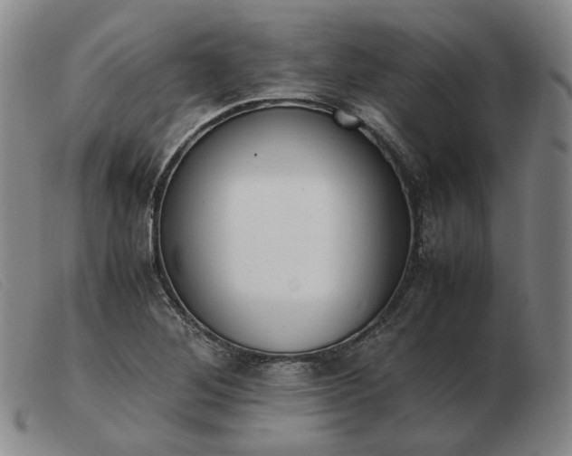 X0000103431268200809191652