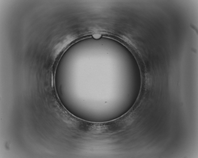 X0000103431269200809191652