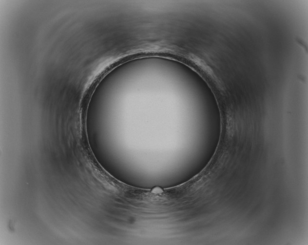 X0000103431270200809191652