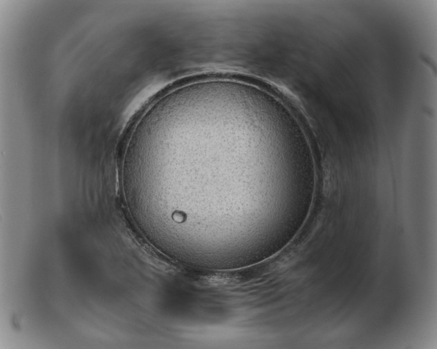 X0000103431271200809191652