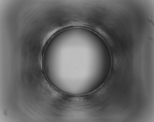 X0000103431272200809191652