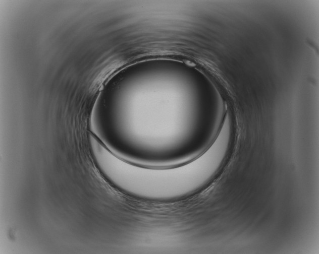 X0000103431273200809191652