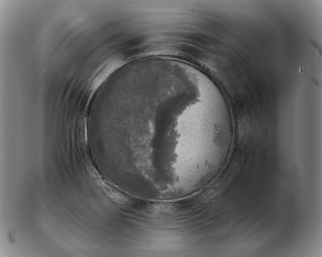 X0000103431274200809191652