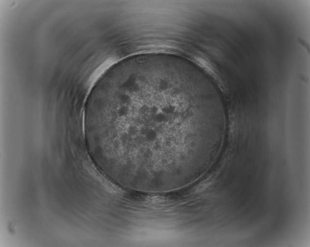 X0000103431275200809191652