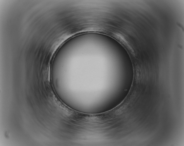 X0000103431276200809191652