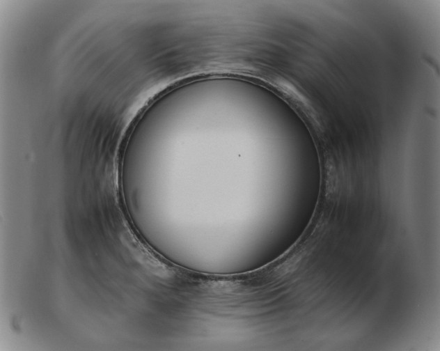 X0000103431280200809191652