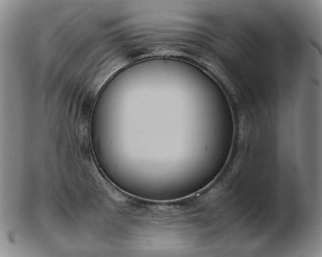 X0000103431281200809191652