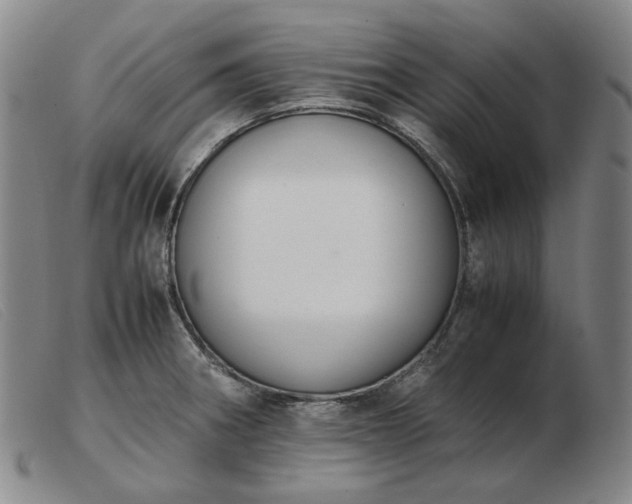 X0000103431282200809191652
